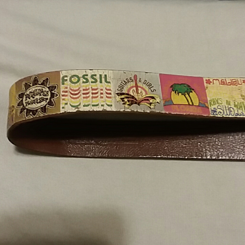 Fossil belt